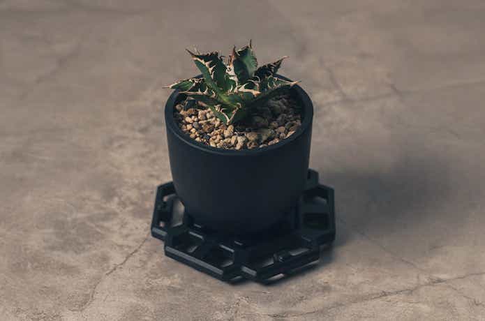 観葉植物を置いたジオメトリックプレート