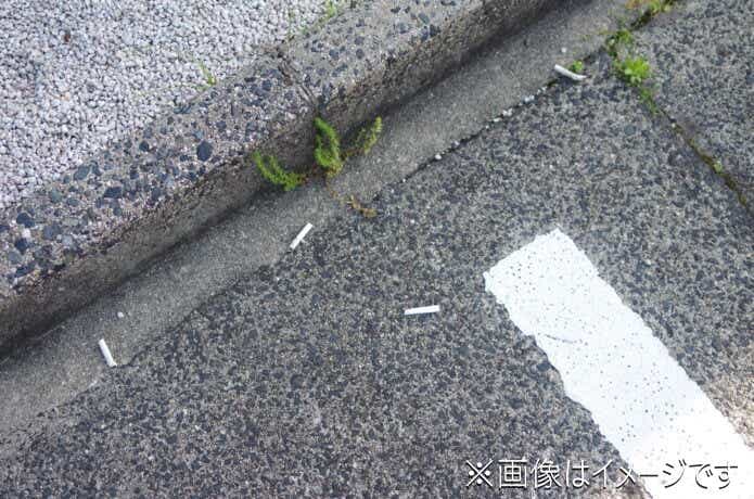 タバコのポイ捨て