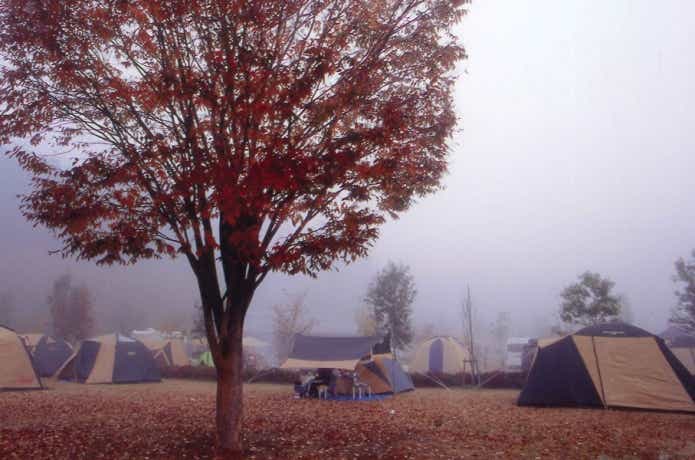 大子広域公園オートキャンプ場1