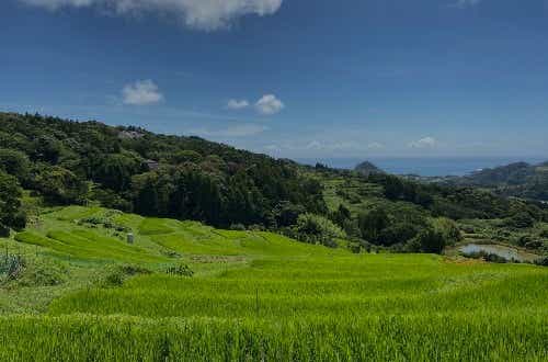 徒歩3分の距離に太平洋が望める絶景ポイントあり