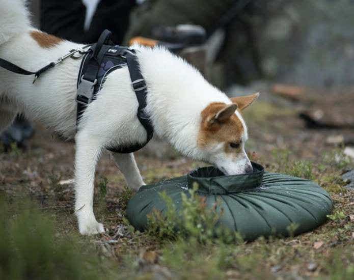 SAVOTTA Water carrying bag