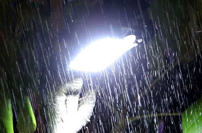 Makuake　マクアケ クリッパ