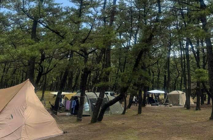 くにの松原キャンプ場