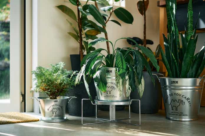 尾上製作所 2wayスタンド