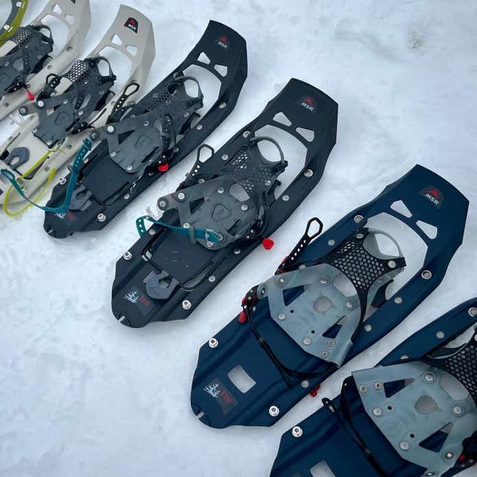 並べられたEVOエクスプローラー