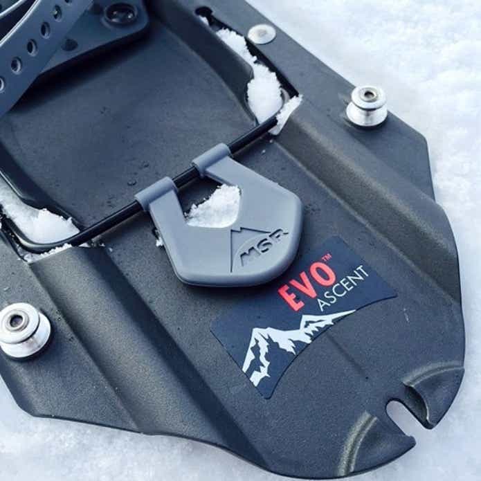 EVO アッセントの後面