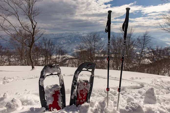 雪にトレッキングポールとスノーシューを刺した様子