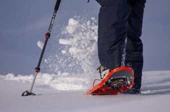 MSRのスノーシュー定番モデル＆サイズ選び大全【2026年最新】