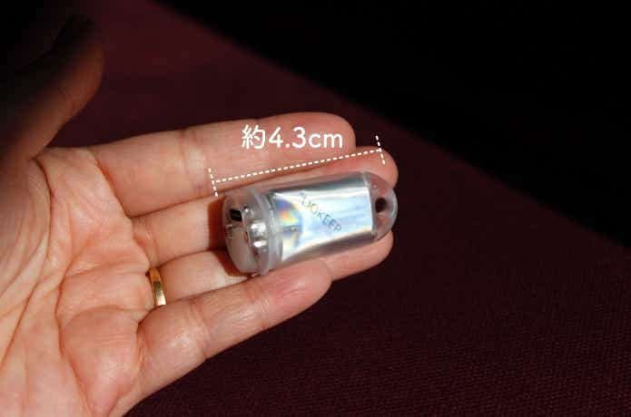 GD3を手のひらに載せている