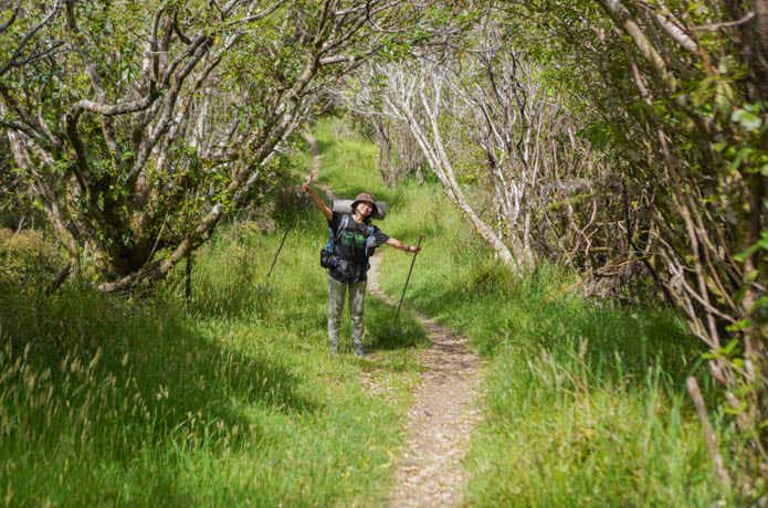 クイーン・シャーロット・トラック