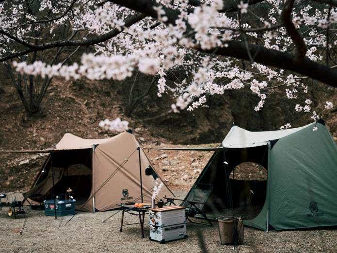 OneTigris SOLO HOMESTEAD 