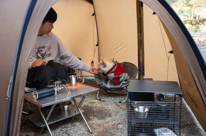 ココネスト_愛犬IN