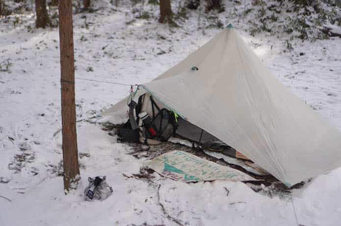 NEMOのパルス™ 20/30 エンドレスプロミス®