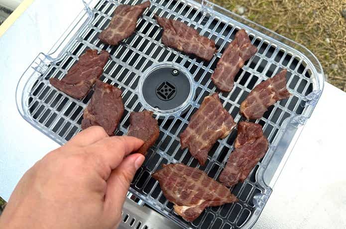 LOGOS「エレキャン・HIMONOドライヤー」肉1時間後