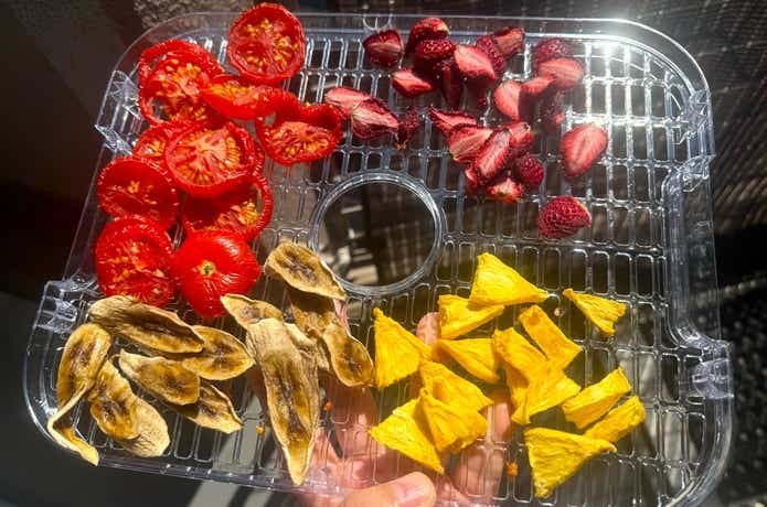 LOGOS「エレキャン・HIMONOドライヤー」ドライフルーツ