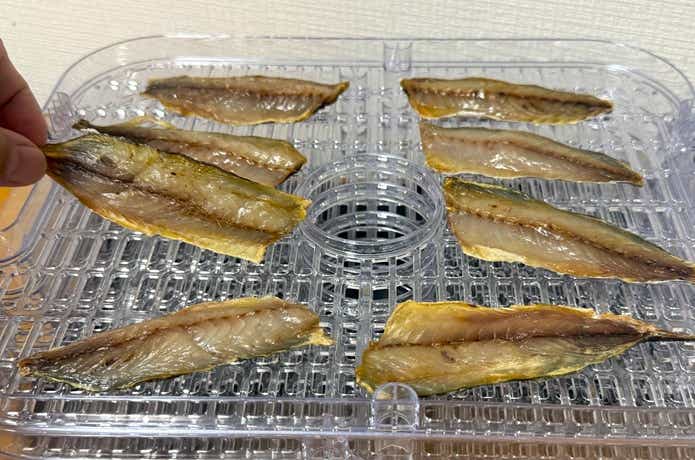 LOGOS「エレキャン・HIMONOドライヤー」アジ完成