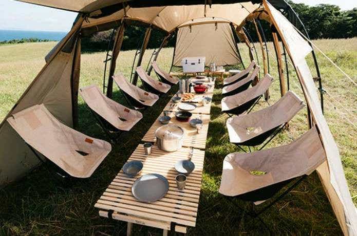 サバティカル　アルニカ