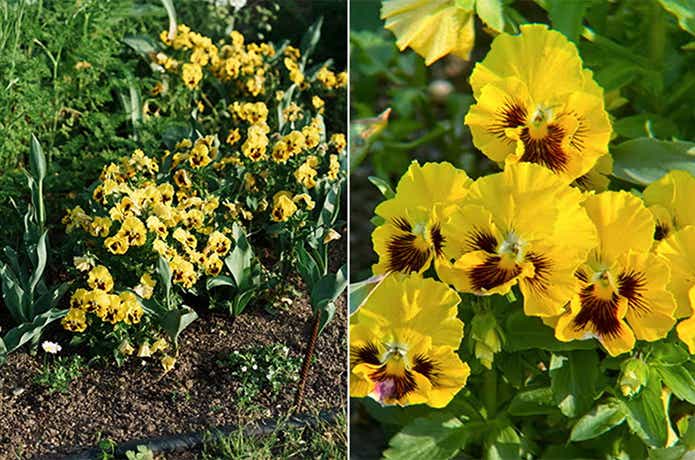 NOCS PROVISIONS
「ZOOM TUBE 8X32」撮影データ