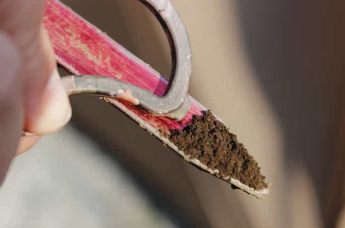 スクリュードライバーでペグの泥を書き出している