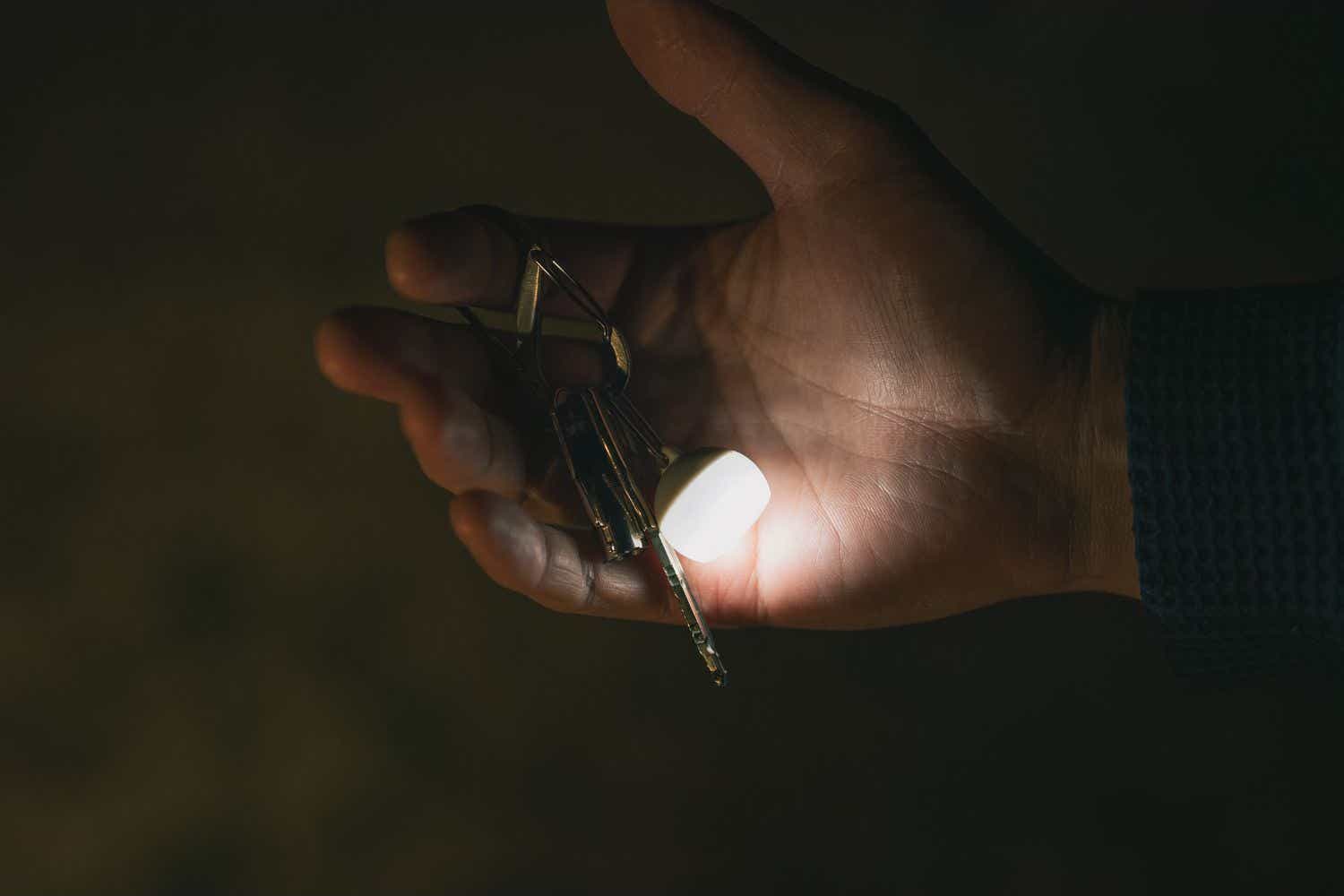 スノーピーク　つぶほおずき