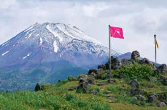 冠雪している富士山