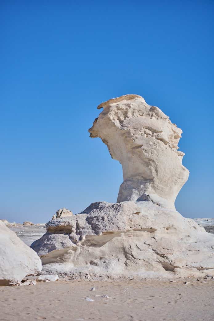 父と子でエジプトキャンプ