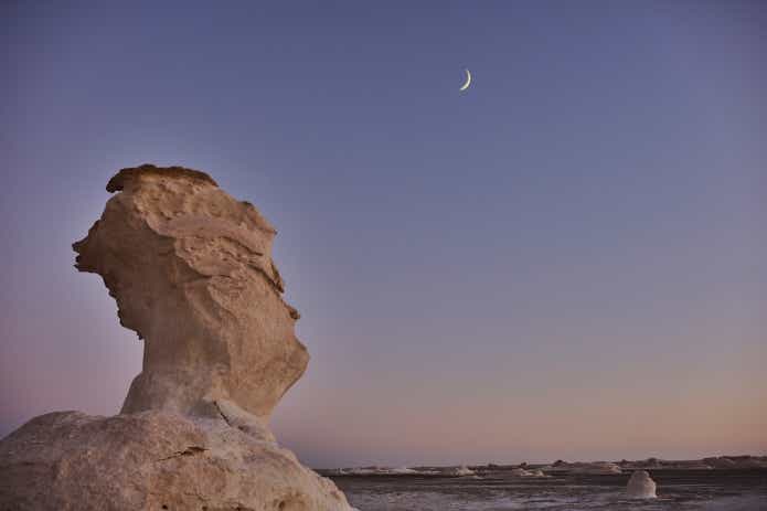 父と子でエジプトキャンプ
