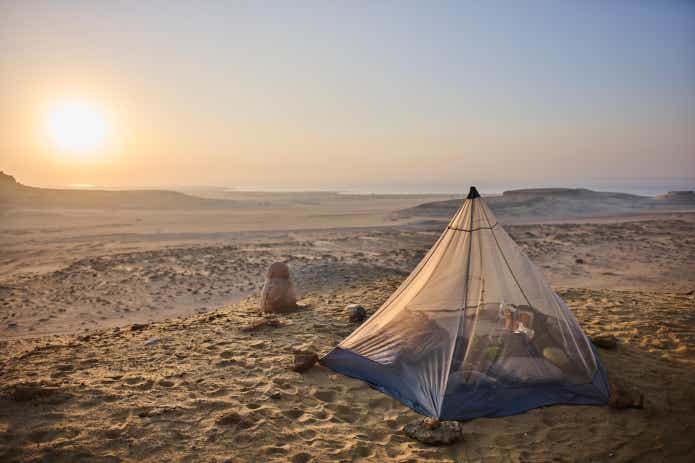 父と子でエジプトキャンプ