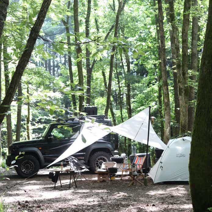 ホワイトカラーで統一したテントとタープを使用したレイアウト