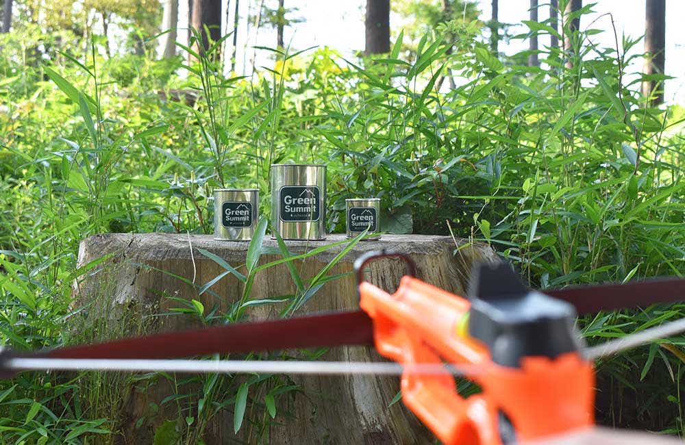 ペトロン シュアショット クロスボウ