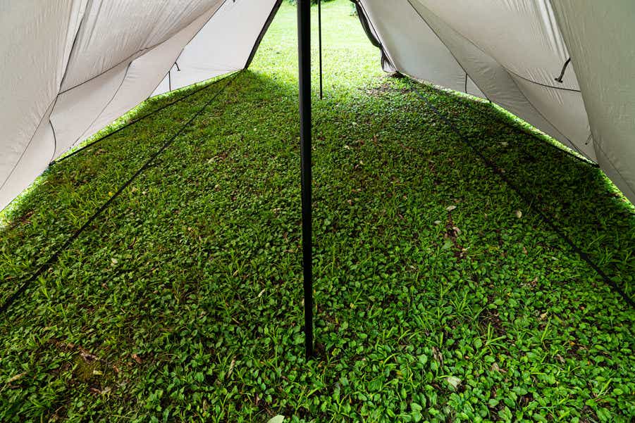 サバティカル　スイッチバック