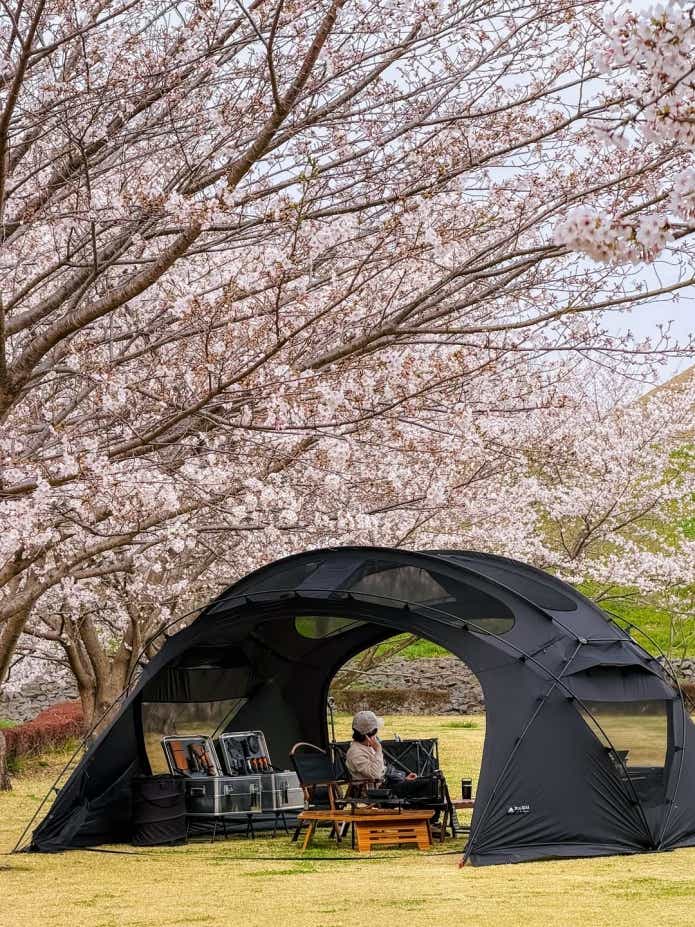 3FULGEARのビートル16 2.0