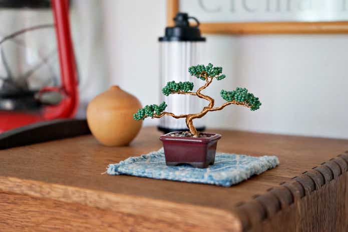 ネジッテ BONSAI キット