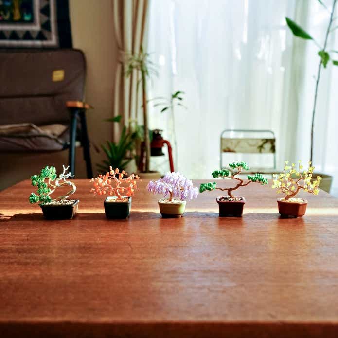ネジッテ BONSAI キット