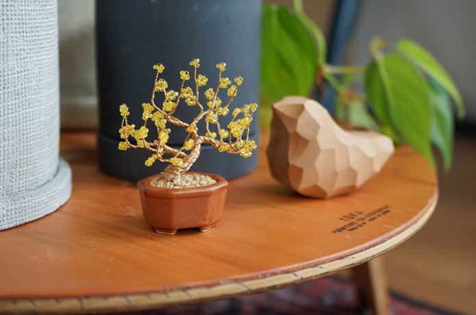 MIYUKIのネジッテ BONSAI キット