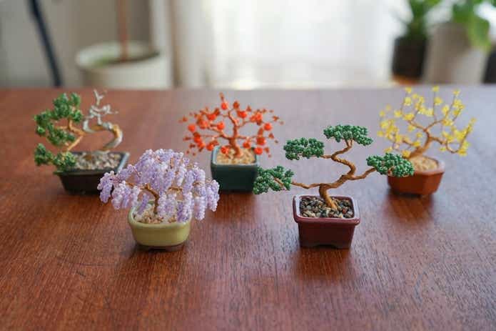 MIYUKIのネジッテ BONSAI キット