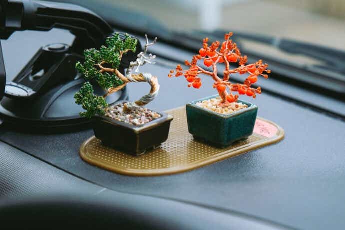 MIYUKIのネジッテ BONSAI キット