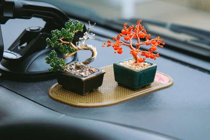 MIYUKIのネジッテ BONSAI キット