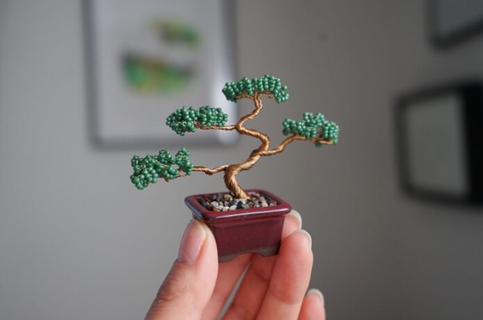 ネジッテ BONSAI キット