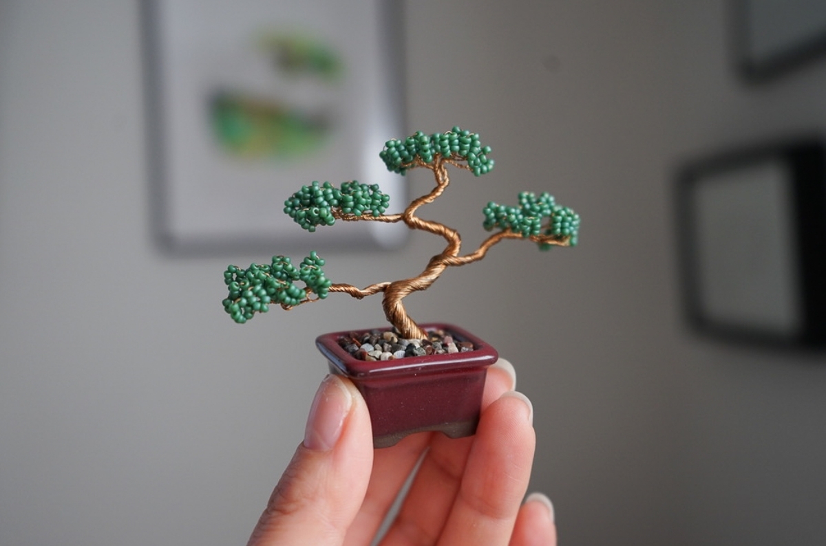 ネジッテ BONSAI キット