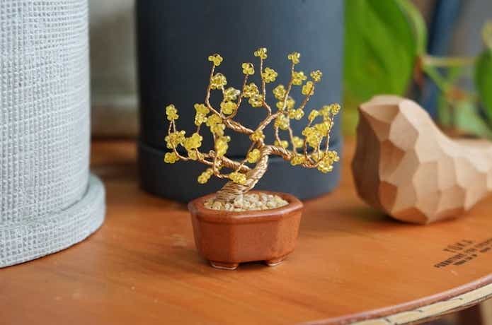 ネジッテ BONSAI キット