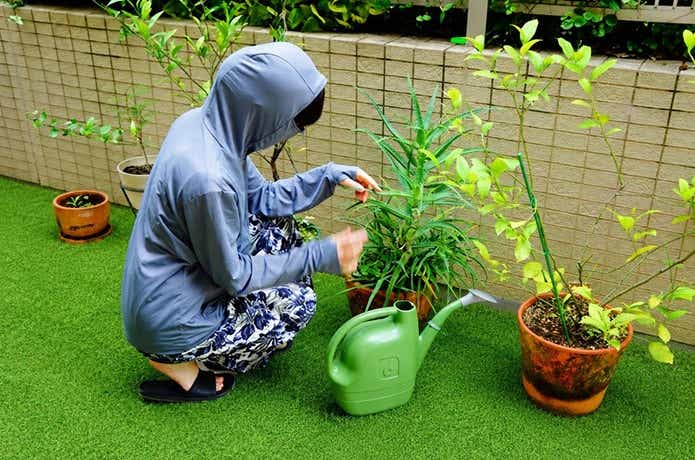 ガーデニング時に楽天の名もなきパーカーを着用