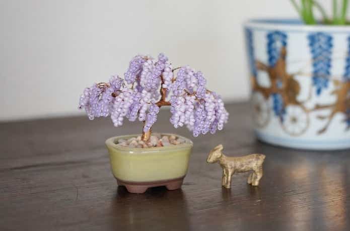 ネジッテ BONSAI キット