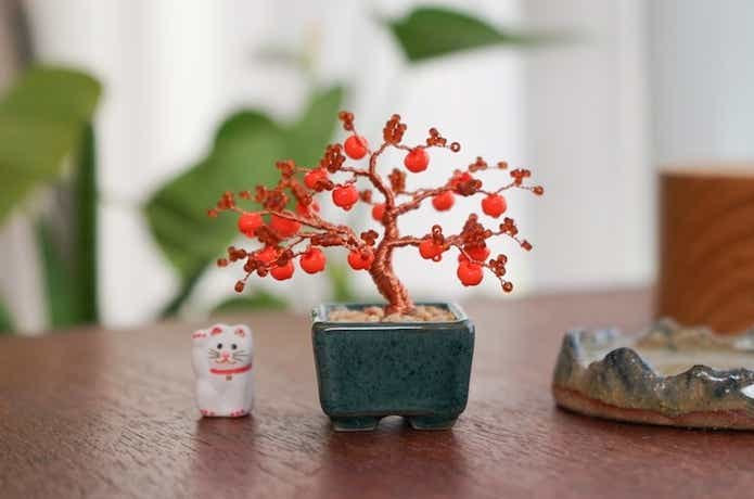 ネジッテ BONSAI キット