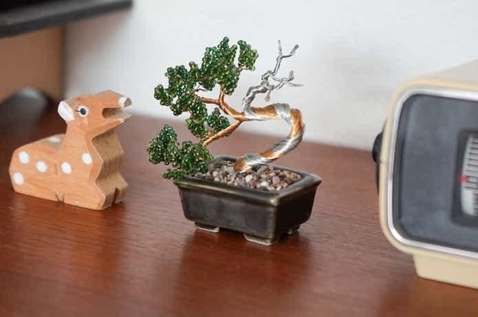 ネジッテ BONSAI キット