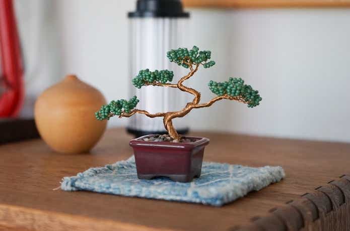 ネジッテ BONSAI キット