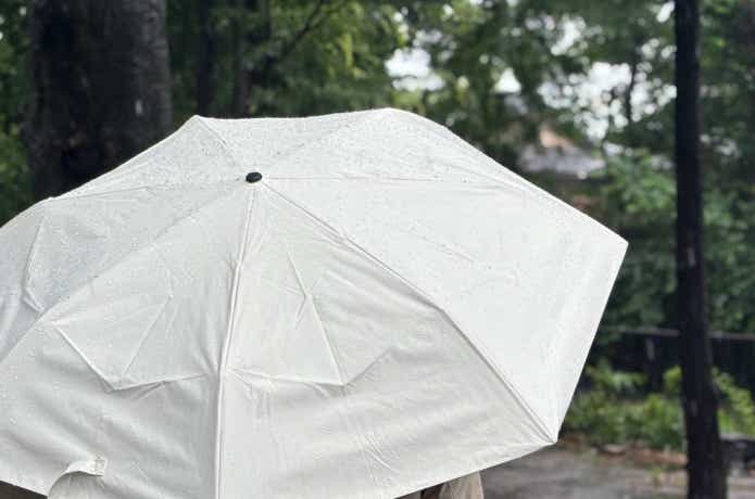 雨粒を弾いている様子