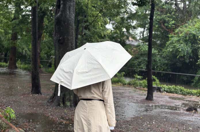 雨の日にさしているところ