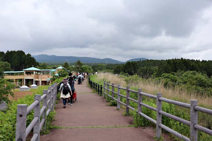 FUJI & SUN '26