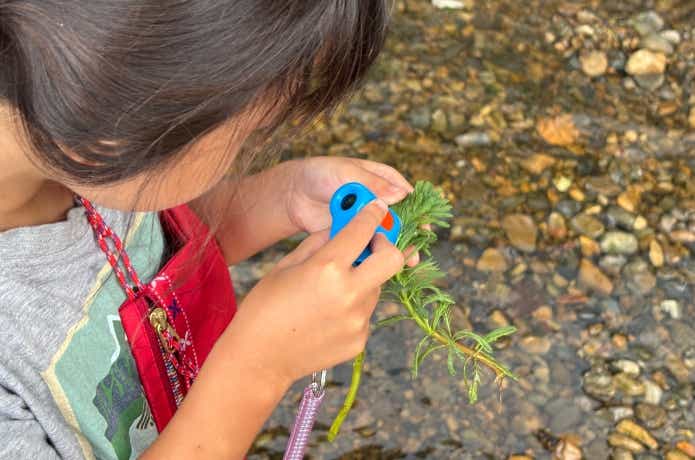 ハンディ顕微鏡petitを子どもが使っているところ